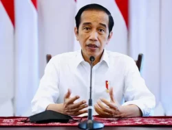 2.656 Tenaga Honorer Tak Berijazah, Begini Nasibnya di Tahun 2024 Menurut UU ASN yang Diteken Jokowi