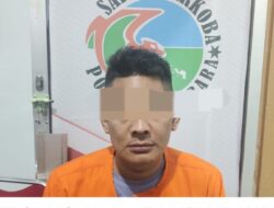 Pengedar Sabu Gol , Diringkus Satnarkoba Polres Batubara