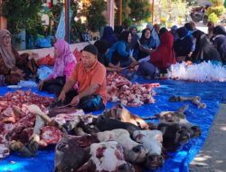 Semangat Berbagi, Dihari Tiga Idul Adha Kemenag Sembeli 9 Ekor Hewan Qurban