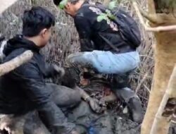 Pelaku Diduga Memiliki Sabu, Ditangkap Dilumpur