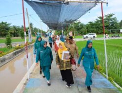 Tim Evaluasi TP PKK Sumut Melakukan Evaluasi di Desa Percontohan Aku Hatinya PKK Desa Kwala Gunung