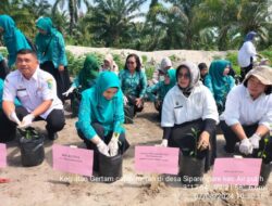 Tekan Laju Inflasi, Dinas Pertanian dan Perkebunan Lakukan Gertam Cabai Merah
