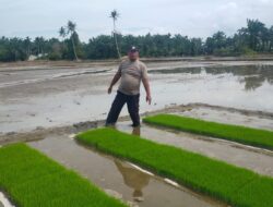Guna Meningkatkan Ketahanan Pangan, Polisi Turun Kesawa 