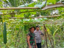 Polsek Indra Pura Dorong Pemanfaatan Pekarangan untuk Ketahanan Pangan