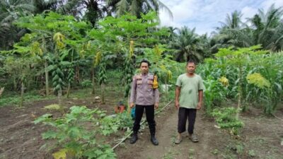 Dukung Asta Cita, Polsek Labuhan Ruku Cek dan Koordinasi Lahan Ketapang