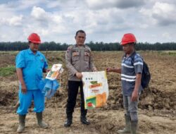 Dukung Ketahanan Pangan, Polsek Lima Puluh Pantau Lahan Jagung di Perkebunan Dolok