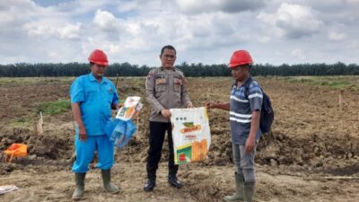 Dukung Ketahanan Pangan, Polsek Lima Puluh Pantau Lahan Jagung di Perkebunan Dolok