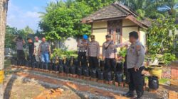 Dukung Ketahanan Pangan, Kapolsek Labuhan Ruku Tanam Cabai di Pekarangan Rumah Dinas