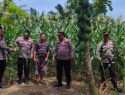 Polsek Labuhan Ruku’, Melaksanakan Kegiatan Program Pemerintah Bapak Presiden Republik Indonesia.