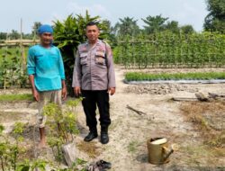 Polsek Medang Deras, Melaksanakan Kegiatan Program 100 hari kerja presiden Republik Indonesia.