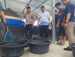 Wujud Keberhasilan Progam Ketahanan Pangan, Polres Batubara Panen Raya Ikan Lele