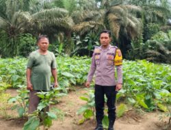 Dukung Ketahanan Pangan,  Bhabinkamtibmas Ajak Warga Untuk Menfaatkan Lahan Kosong