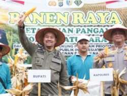 Dukung Program Ketahanan Pangan, Bupati & Kapolres Batubara Panen Raya Jagung