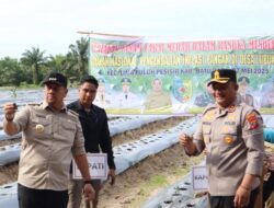 Dukung Gerakan Nasional Pengendali Inflasi Pangan Bupati & Kapolres Tanam Cabai