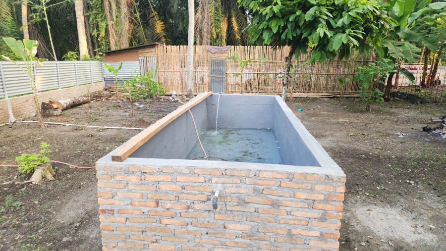 Kolam Betok, Dukung Program Ketahanan Pangan budidaya ikan lele, Minggu (15/6/2025)