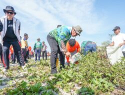 Peringati Hari Lingkungan Hidup Sedunia, Bupati Ikut Bersihkan Sampah di Pantai Belacan