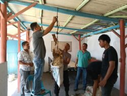 Kapolsek Lima Puluh Potong Hewan Kurban di Hari Idul Adha 1446 H