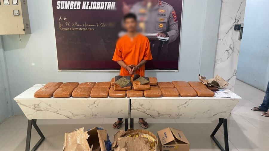 Pria Warga Kecamatan Lima Puluh ditangkap memiliki daun ganja,Minggu (8/6/2025)