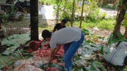 PWi Batubara Berbagi Daging Kurban,Minggu (8/6/2025)
