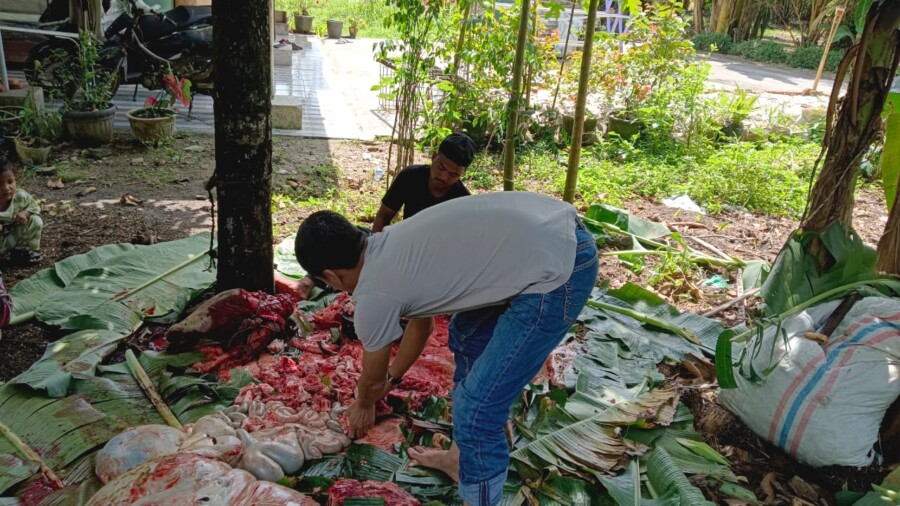 PWi Batubara Berbagi Daging Kurban,Minggu (8/6/2025)
