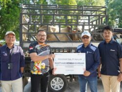 Manajeman PT Inalum Salurkan 47 Hewan Kurban di Hari Raya Idul Adha 1446 H,