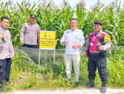 Kapolsek Ajak Masyarakat Memanfaatkan Lahan Kosong, Dukung Ketahanan Pangan