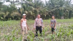 Polsek Indrapura Lakukan Koordinasi & Pengecekan Lahan Ketapang Guna Dukung Ketahanan Pangan