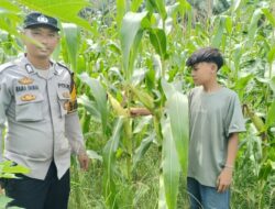 Polisi Dorong Masyarakat Manfaatkan Pekarangan Rumah Untuk Tanam Jagung