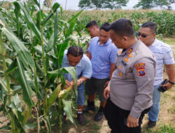 Kapolres Ajak Warga Manfaatkan Lahan Kosong untuk Ketahanan Pangan