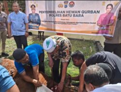 Polres Batubara Sembeli Hewan Qurban 8 Ekor Sapi