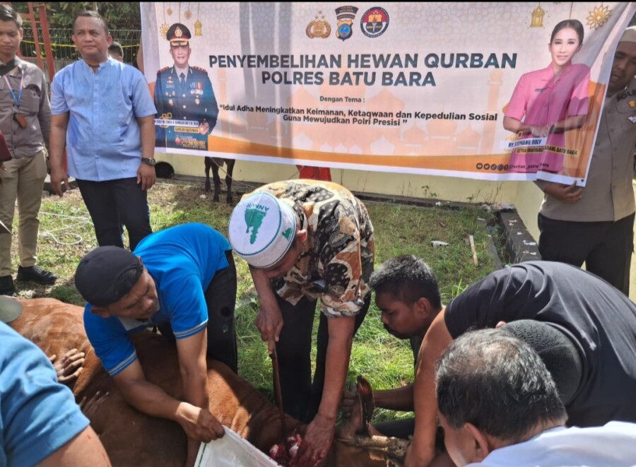 Kapolres Batubara AKBP Doly Nelson H.H Nainggolan saksikan penyembelihan hewan kurban di Mapolres Batubara
