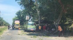 Pemeliharaan dan Perawatan Pohon di Pinggir Jalinsum Demi Keselamatan Pengendara