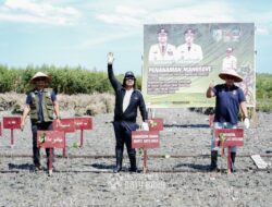 Pemkab Gelar Mangrove Culture Festival : Batu Bara Suplai Karbon untuk Dunia