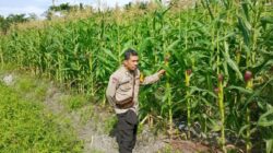 Sambang ke Kelompok Tani, Bhabinkamtibmas Berikan Dukungan