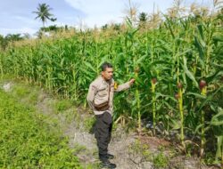 Sambang ke Kelompok Tani, Bhabinkamtibmas Berikan Dukungan
