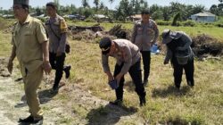 Polsek Lima Puluh Kembangkan 3 Hektar Lahan Jagung untuk Program Ketahanan Pangan