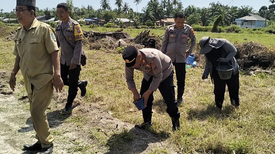 Mendukung Sembada Jagung Kapolsek Lima Puluh Dukung Tanam Jangung, Selasa (12/8/2025)