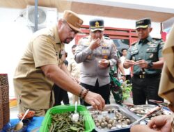 Pentingnya Ketahanan Pangan, Bupati Batu Bara dan Forkopimda Lakukan Panen Cabai Bersama