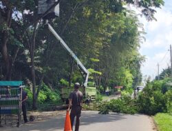 Dinas Lingkungan Lakukan Peruning Pohon Rimbun di Pinggir Jalinsum