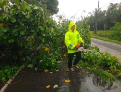 Unit Gakkum Evakuasi Pohon Tumbang di Jalinsum, Arus Lalu Lintas Kembali Lancar