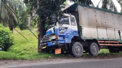 Diduga Lupa Injak Rem, Truk Hantam Pohon di Pinggir Jalinsum