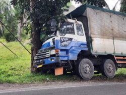 Diduga Lupa Injak Rem, Truk Hantam Pohon di Pinggir Jalinsum