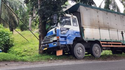 Diduga Lupa Injak Rem, Truk Hantam Pohon di Pinggir Jalinsum