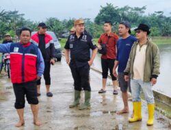 170 Hektar Sawah di Desa Aras Terendam Banjir, Bupati Turun ke Lokasi