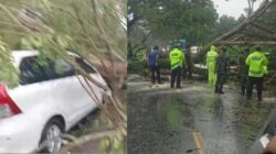 Mobil Avanza Tertimpa Kayu, Satlantas Sigap Evakuasi Pohon Tumbang