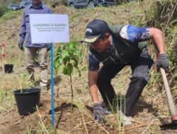 INALUM Tanam 600 Pohon, Tanda Dimulainya Penghijauan 500 Hektar di DTA Danau Toba
