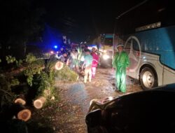 Cegah Kemacetan, Samapta dan Satlantas Polres Batubara Sigap Evakuasi Pohon Tumbang