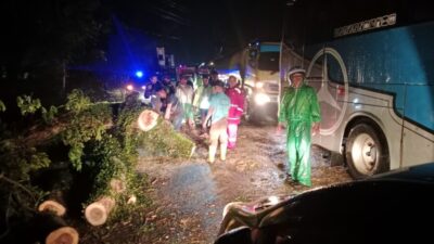 Cegah Kemacetan, Samapta dan Satlantas Polres Batubara Sigap Evakuasi Pohon Tumbang