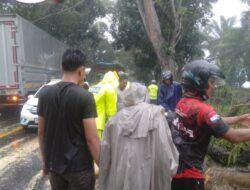 BPBD bersama Dinas Perkim LH dan Satlantas Batu Bara Laksanakan Penanganan Darurat Pohon Tumbang, Warga Diimbau Tetap Waspada