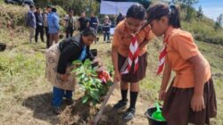 Kolaborasi Inalum dan PJT 1 untuk Konservasi Air, Hutan, dan Masa Depan Danau Toba